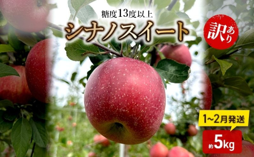 りんご 【1～2月順次発送】 糖度13度以上 訳あり品 家庭用 シナノスイート 約5kg【 青森りんご 】 2483527 - 青森県鶴田町