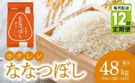 （精米4kg）ホクレンななつぼし【定期便12回】