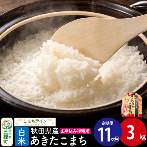 《定期便11ヶ月》あきたこまち【白米】3kg 秋田県産 令和7年産 こまちライン [こまちライン あきたこまち ブランド米 お米 白米 精米 米どころ 秋田 秋田県産] 2484211 - 秋田県三種町