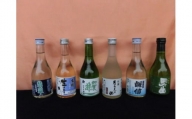生貯蔵酒飲み比べセット 300ml×6本 日本酒 地酒 新潟 糸魚川 ギフト