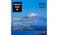 R134 COFFEE / コーヒー / Signature Ocean Line / Exclusive / 100g 粉 x 2種 / 6ヶ月連続定期便
