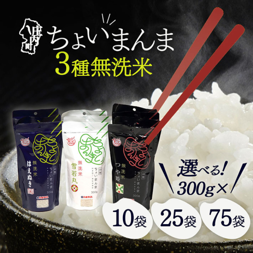 山形県産 ちょいまんま 無洗米2合 選べる品種 内容量 300g×10袋 / 25袋 / 70袋 つや姫 はえぬき 雪若丸 食べ比べ ブランド米 白米 使い切り 手軽 2484395 - 山形県庄内町