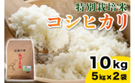 【令和7年産】特別栽培米 コシヒカリ 10kg (5kg×2袋)｜産地 直送 白鷺の里 あずま米 こしひかり 茨城県 稲敷市 [1907]