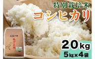 【令和7年産】特別栽培米 コシヒカリ 20kg (5kg×4袋)｜産地 直送 白鷺の里 あずま米 こしひかり 茨城県 稲敷市 [1909]