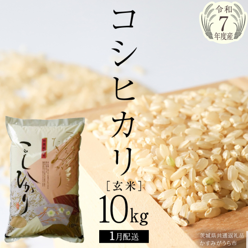 ＼ 1月出荷 ／【令和7年産】コシヒカリ 玄米10kg（10kg×1袋）（茨城県共通返礼品 かすみがうら市産）新米 米 ごはん もっちり 甘い コメ お米 銘柄米[EX012sa-01] 2484488 - 茨城県桜川市
