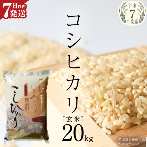 ＼ 最短7営業日以内に発送 ／【令和7年産】コシヒカリ 玄米 20kg（5kg×4袋）（茨城県共通返礼品 かすみがうら市）スピード発送 早い 米 ごはん もっちり 甘い コメ お米 玄米 銘柄米[EX027sa] 2484490 - 茨城県桜川市