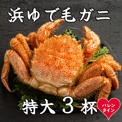 78-21 【バレンタインデー】流氷明け浜ゆで毛ガニ　特大3杯 2485813 - 北海道紋別市