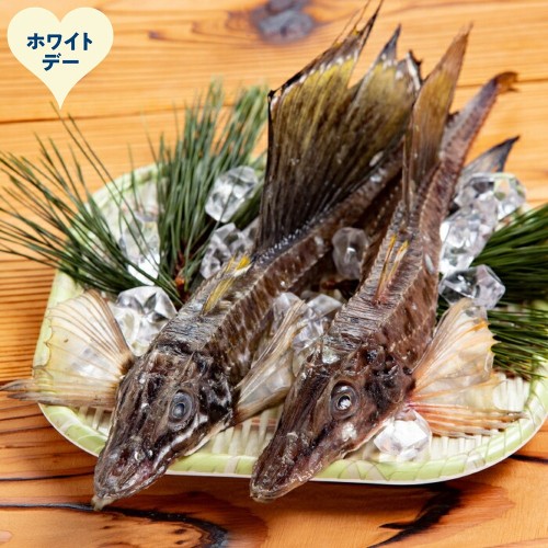 12-323 【ホワイトデー】オホーツク八角丸干し1kg 2485942 - 北海道紋別市