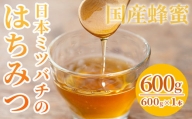 AA-040H 数量限定！日本ミツバチ 百花蜜600g