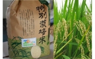 令和5年産 鹿嶋市産 特別栽培米コシヒカリ(精米)10kg(KAK-3)
