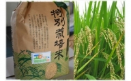 令和5年産 鹿嶋市産 特別栽培米コシヒカリ(玄米)10kg(KAK-1)