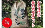 KAV-2　【お正月飾り】鹿島松の門柱門松と特別栽培米コシヒカリ（5kg）セット