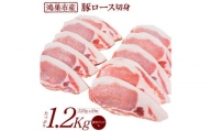 No.089 国産豚ロース切身1.2kg（120g×10枚）