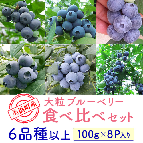 美浜町産大粒ブルーベリー食べ比べセット6品種以上 『8パック入り』 ※2026年6月中旬～6月下旬頃に順次発送予定 2487541 - 愛知県美浜町