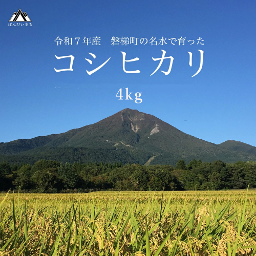 【令和7年産米】コシヒカリ4kg　磐梯町の名水で育ったコシヒカリ　精米 2487547 - 福島県磐梯町