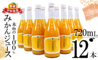 みかんジュース 本物の100％みかんジュース 720ml × 12本 木田柑橘農園 南柑20号 温州みかん 温州蜜柑 みかん mikan ストレート オレンジ 果汁100％  ストレートジュース 果物 くだもの フルーツ  ギフト プレゼント 国産 愛媛 宇和島 H042-185006