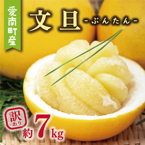 訳あり 文旦 7kg 8000円 ぶんたん みかん mikan 蜜柑 ミカン わけあり 家庭用 産地直送 国産 農家直送 糖度 期間限定 数量限定 特産品 ゼリー ジュース アイス 人気 限定 甘い 果実 果肉 フルーツ 果物 柑橘 ビタミン 健康 美味しい おいしい ジューシー 小玉 含む サイズ ミックス 規格外 傷み補償 500g ミッチーのおみかん畑 愛南町 愛媛県 2487582 - 愛媛県愛南町