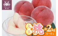 〈2026年度配送分〉甲府市産　大玉桃　約2kg (4～6玉)
