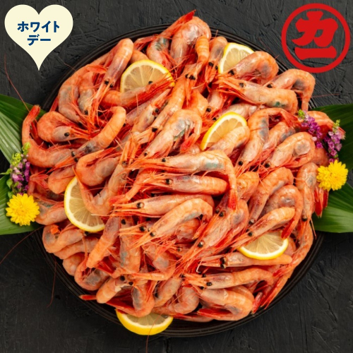 14-252 【ホワイトデー】甘えび（大）1kg 2487875 - 北海道紋別市