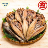 15-383 【ホワイトデー】どどーんと8枚！しまほっけ一夜干しセット