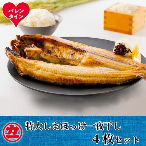 15-369 【バレンタインデー】脂の乗った特大しまほっけの一夜干し4枚セット 2487880 - 北海道紋別市