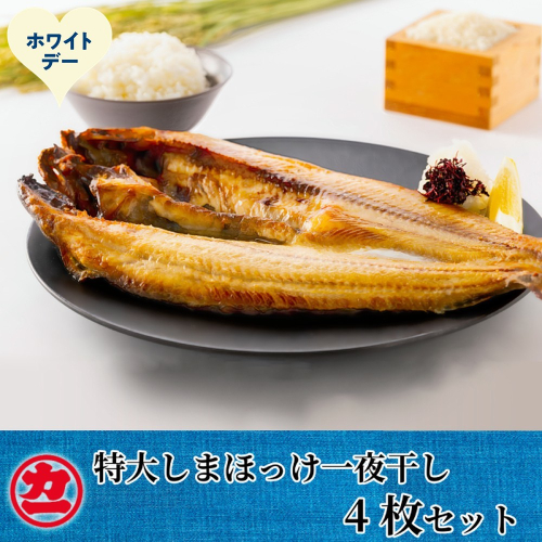 15-384 【ホワイトデー】脂の乗った特大しまほっけの一夜干し4枚セット 2488044 - 北海道紋別市
