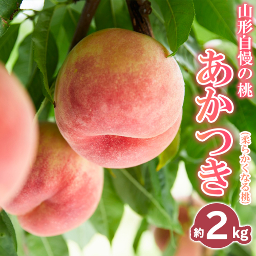 山形自慢の桃 【あかつき】 約2kg【令和8年産先行予約】FS25-072 2488485 - 山形県山形市