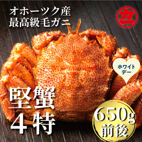 24-134 【ホワイトデー】北海道産ボイル毛がに【四特】 大サイズ1尾入り（1尾約650ｇ前後） 2488494 - 北海道紋別市