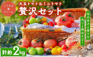 ごうやぎファームの大玉トマト＆ミニトマト贅沢セット | 野菜 トマト ミニトマト 完熟 採れたて 直送 濃厚 新鮮 ビタミン 贈り物 ※2026年1月上旬～5月下旬頃までに順次発送予定