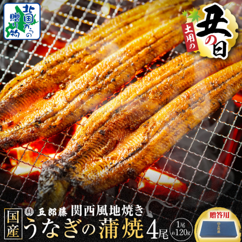 【7/26土用の丑の日】五郎藤 関西風地焼き 国産有頭旨鰻 120g×4尾 計約480g 【贈答用 うなぎ ウナギ 蒲焼き 炭火】 020C402-1d 2489289 - 大阪府泉佐野市