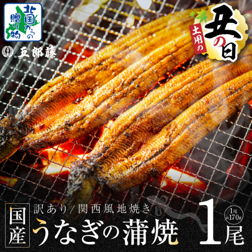 【7/26土用の丑の日】数量限定！！老舗「五郎藤」関西風地焼き 国産有頭旨鰻 170g前後×1尾【訳あり うなぎ ウナギ 蒲焼き 炭火】 099H3440d 2489292 - 大阪府泉佐野市