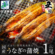 【7/26土用の丑の日】数量限定！！老舗「五郎藤」関西風地焼き 国産有頭旨鰻 170g前後×1尾【訳あり うなぎ ウナギ 蒲焼き 炭火】 099H3440d