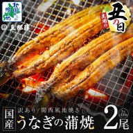 【7/26土用の丑の日】老舗「五郎藤」関西風地焼き 国産有頭旨鰻 計約240g前後【120g×2尾 うなぎ ウナギ 蒲焼き 炭火】 099H3442d