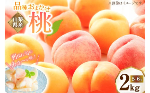 桃 2kg （5～6玉） もも モモ ピーチ 果物 フルーツ 山梨県産 国産 【2026年6月下旬～8月下旬発送予定】 2489310 - 山梨県中央市