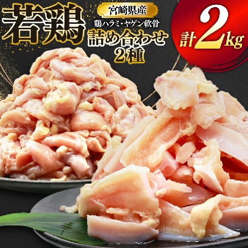 鶏肉 詰め合わせ 宮崎県産 若鶏 鶏ハラミ 鶏ヤゲン軟骨 各1kg 計2kg [ミヤケイフード 宮崎県 美郷町 31bp0022] 小分け 冷凍 はらみ ハラミ 鶏はらみ ヤゲン 軟骨 ヤゲン軟骨 鶏 2489330 - 宮崎県美郷町