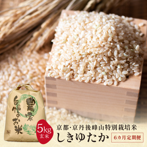 【6ヶ月定期便】2026年産 京都・京丹後峰山 特別栽培米しきゆたか 5kg 【玄米】
 2489358 - 京都府京丹後市