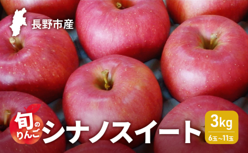 2026年発送　長野市産　旬のりんご　シナノスイート3kg　6玉～11玉 りんご リンゴ 果物 フルーツ 秋 2489375 - 長野県長野市