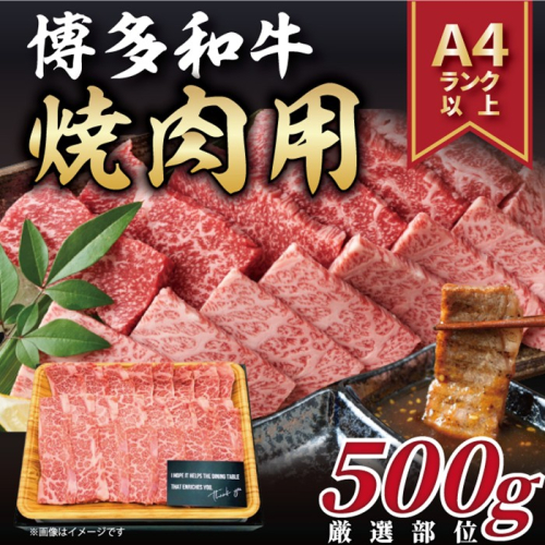 AC147.【A4～A5】博多和牛焼肉用約500g【博多和牛】 2489390 - 福岡県新宮町