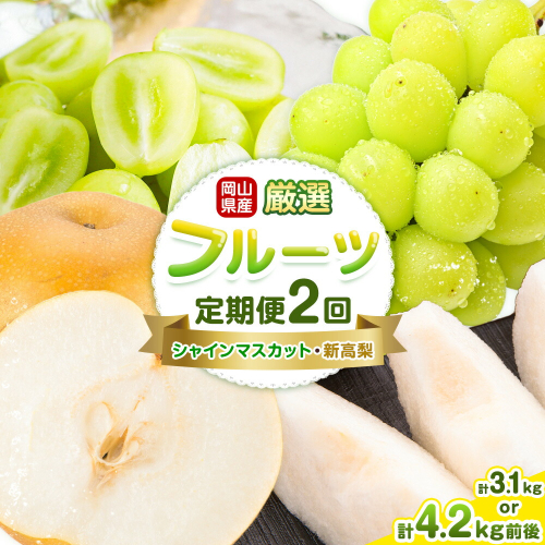 岡山県産 厳選 フルーツ 定期便 2回 シャインマスカット 新高梨 選べる 計3.1kg前後 計4.2kg前後 株式会社藍《9月上旬-10月下旬頃出荷》 岡山県 浅口市 岡山県産 シャインマスカット 新高梨 梨 旬 フルーツ 果物 くだもの 送料無料 【配送不可地域あり】（北海道・沖縄・離島） 2489395 - 岡山県浅口市