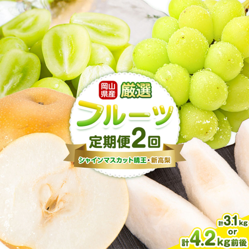 岡山県産 厳選 フルーツ 定期便 2回 シャインマスカット 晴王 新高梨 選べる 計3.1kg前後 計4.2kg前後 株式会社藍《9月上旬-10月下旬頃出荷》 岡山県 浅口市 岡山県産 シャインマスカット 新高梨 梨 旬 フルーツ 果物 くだもの 送料無料 【配送不可地域あり】（北海道・沖縄・離島） 2489395 - 岡山県浅口市