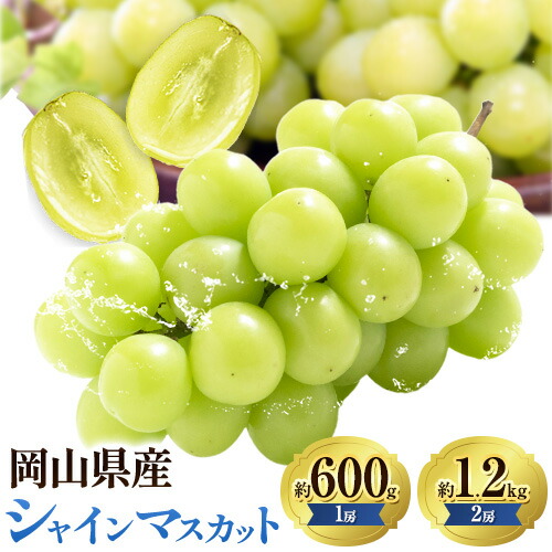 ぶどうシャインマスカット 選べる 約 600g 1房 または 約 1.2kg 2房 【配送不可地域あり】 株式会社藍《9月上旬-10月下旬頃出荷》 岡山県 浅口市 岡山県産 ぶどう フルーツ 果物 くだもの マスカット 送料無料 2489396 - 岡山県浅口市