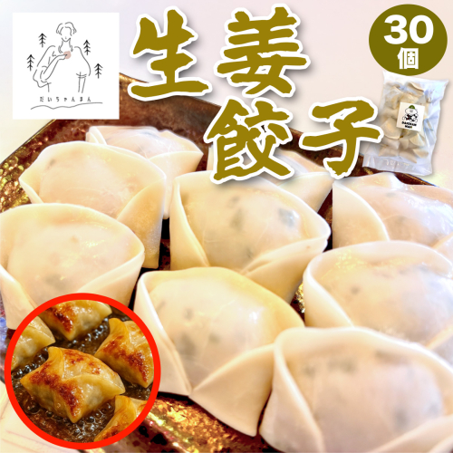 生姜餃子30個入り｜餃子 惣菜 ギョウザ ぎょうざ 点心 中華 [3243] 2489405 - 奈良県香芝市
