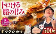 【全12回定期便】対馬産 本マグロ カマ 500g ≪対馬市≫【桐谷商店】 トロの華 対馬 新鮮 マグロ かま 鮪 [WAQ094]