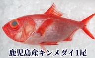 008-72 鹿児島産キンメダイ1尾(1~1.2kg)