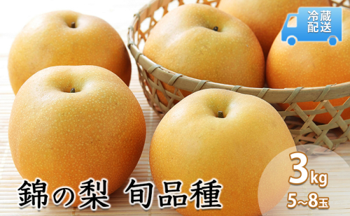 梨 3kg 先行予約 錦の梨 約5玉～8玉 フルーツ なし ナシ 果物 デザート 2025年発送 古里農園 配送不可:離島 2490853 - 熊本県錦町