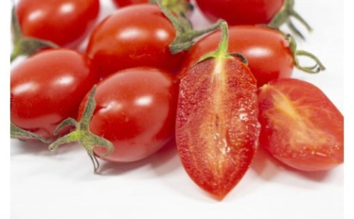 【選べる発送月】ミニトマトアイコ(松トマト) 約2kg（S・M・Lサイズおまかせ） 2490934 - 和歌山県那智勝浦町