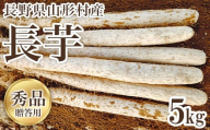 3213 長野県山形村産 長いも 秀 5kg
