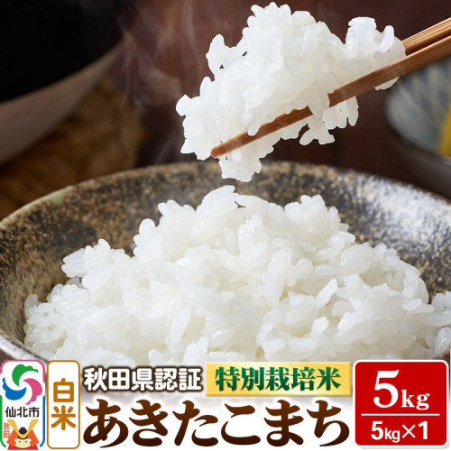 令和7年産 秋田県認証 特別栽培米 あきたこまち（白米）5kg×1袋 米 2491395 - 秋田県仙北市