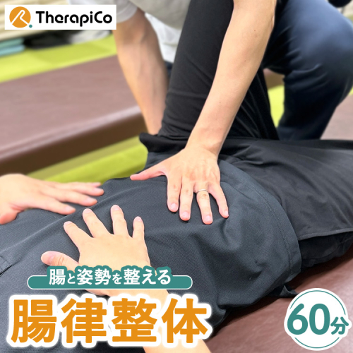 腸と姿勢を整える「腸律整体」 1回（60分） ｜ 便秘 姿勢 冷え 腸活 施術 セラピコ 神奈川県 体験 チケット 券 2491746 - 神奈川県相模原市