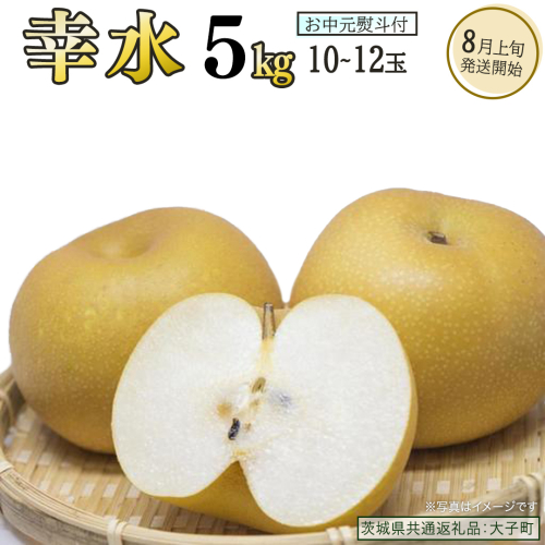 【 お中元 熨斗付き 】 幸水 約5kg (10～12玉)【2026年8月上旬発送開始】(茨城県共通返礼品：大子町) 梨 なし 果物 くだもの フルーツ 2492326 - 茨城県牛久市